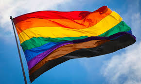 Image result for pride flag