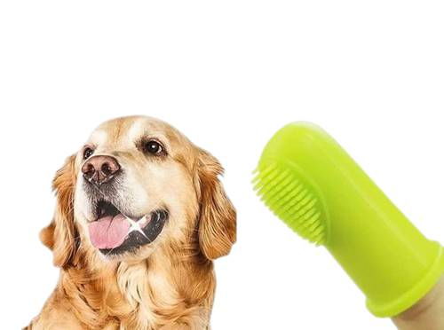 Dog Toothbrushes