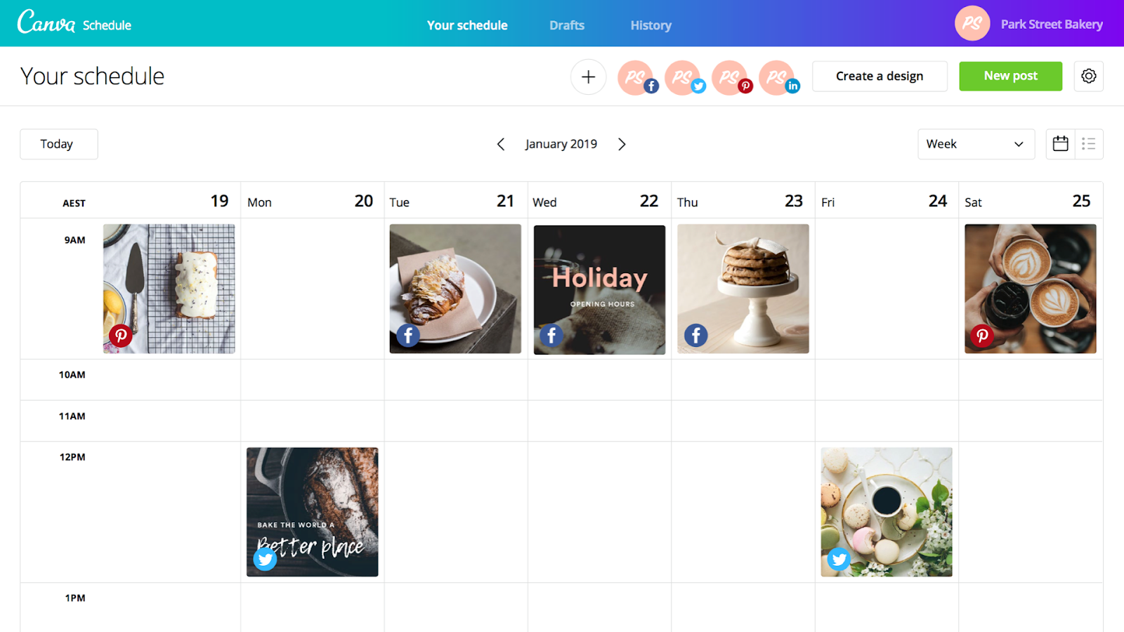 Social Media Posts & Content Planner for Canva