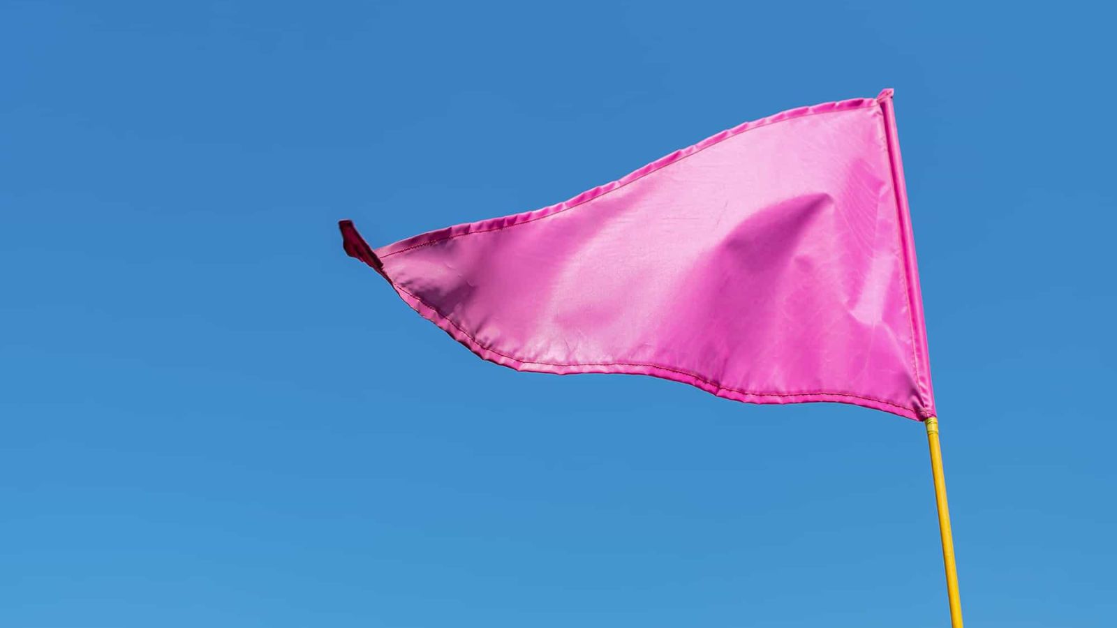 pink-flag-trong-tinh-yeu-la-gi-cac-dau-hieu-cua-pink-flag 1