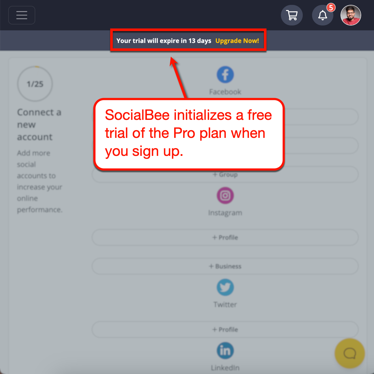 SocialBee Free Trial Expiration Notification