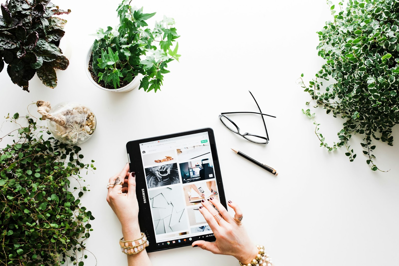 A person holding a tablet in a table with plants