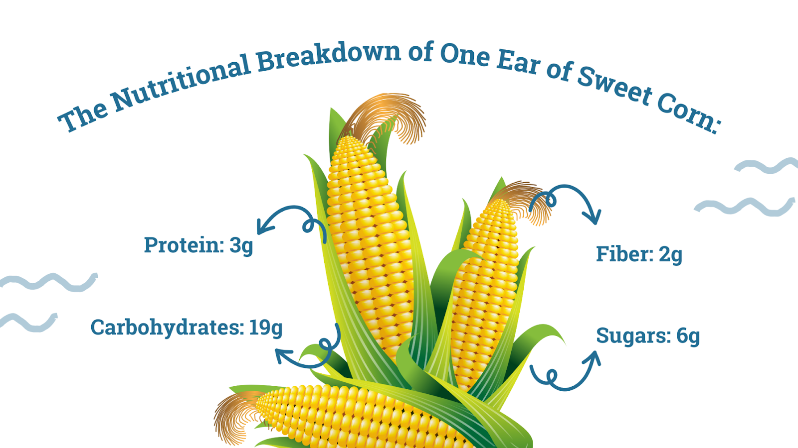 Nutritional breakdown of sweet corn