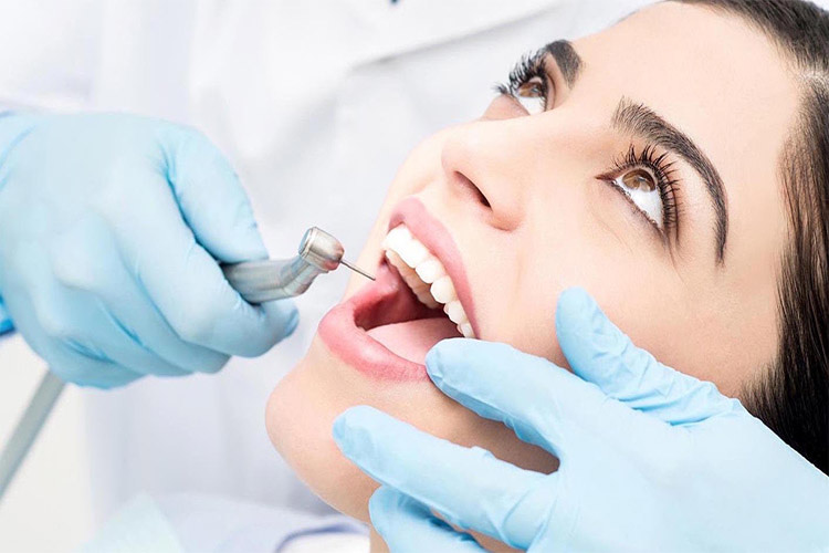 Optimal Dental Wellness

