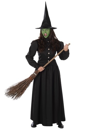 wicked witch costume for seniors and retirees