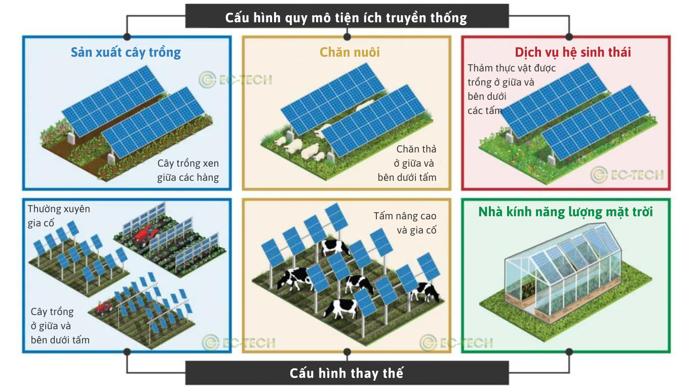 điện mặt trời nông nghiệp
