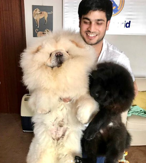 Anmol Ambani with pets