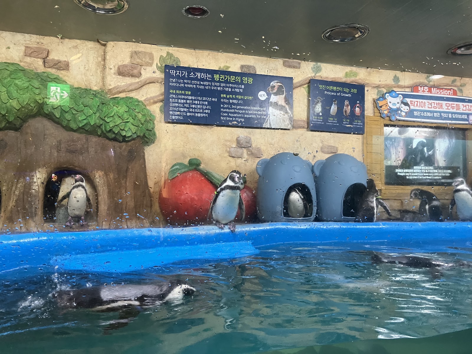 子連れ韓国にもデートにも！韓国最大級の水族館【COEX AQUARIUM】に行ってみた COEX MALL