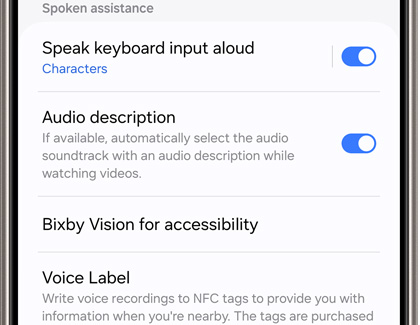 Four options under Spoken assistance