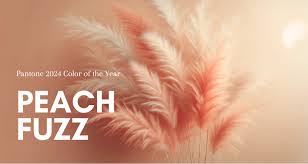 Pantone's 2024 Color of the Year: Soothed By Peach Fuzz | Looka