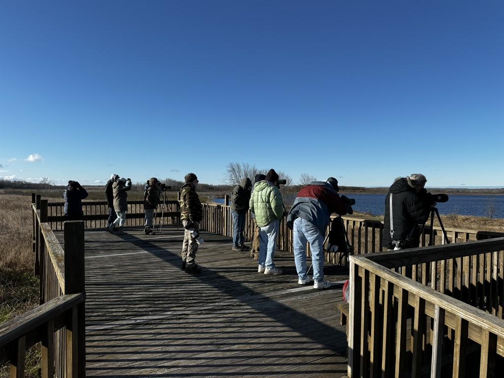 A group of people standing on a wooden platform

Description automatically generated