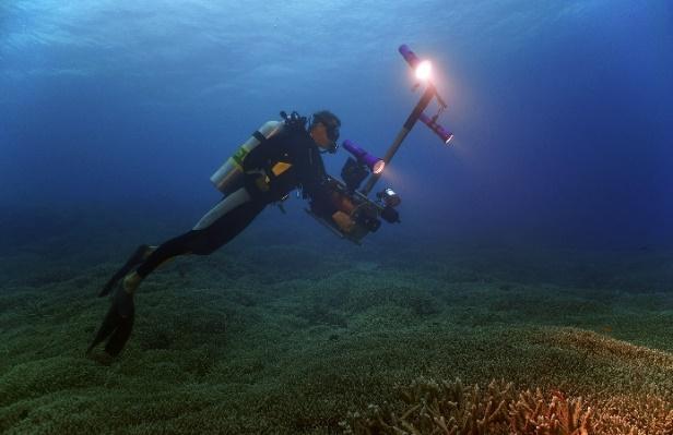 C:\Users\a.pai\Documents\2024\02 VD content\2024 02 Pawel Achtel underwater 8K\추가 images 0228\DSC002006.jpg