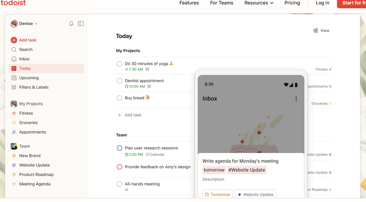 Image showing Todoist as business task management software