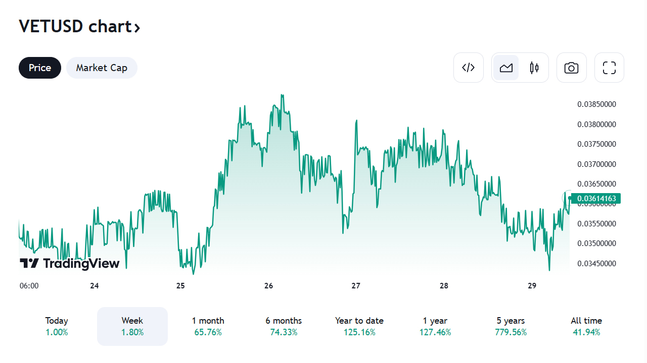 As The Crypto Market Recovers, Investors Think These 5 Cryptos Are The ...