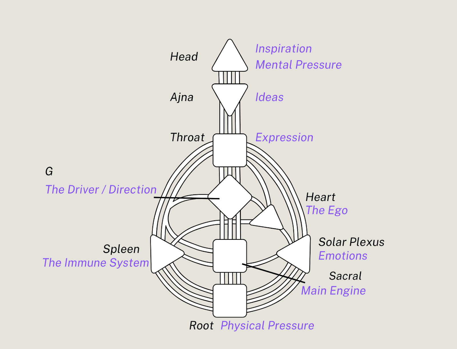 A diagram of a body parts

Description automatically generated