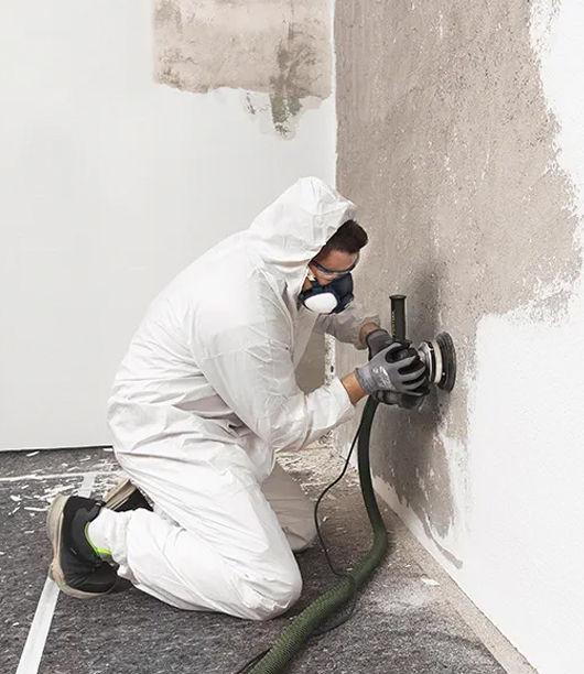 professional mould removal Sydney