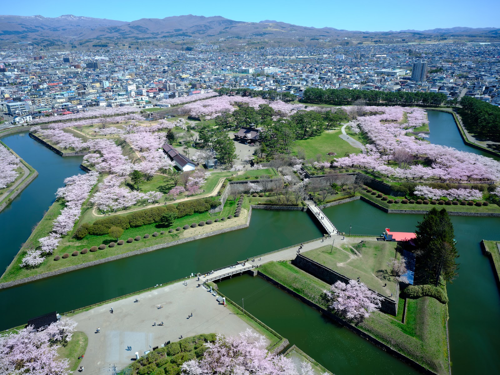 2、星型城塞と桜の名所「五稜郭公園」