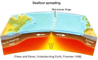 Evidence For Plate Tectonics Doc