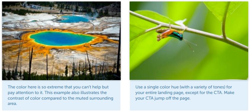 How color helps increasing conversion rates for landing pages