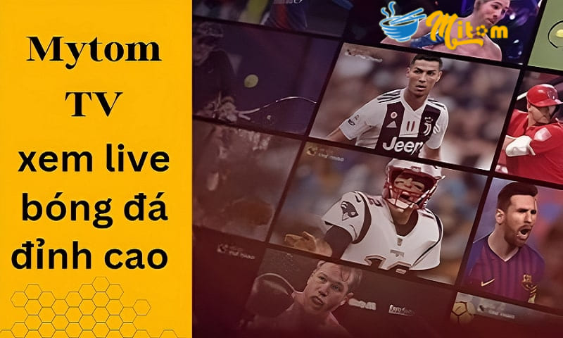 Mytom TV - Trang web xem live bóng đá đỉnh cao FULL HD
