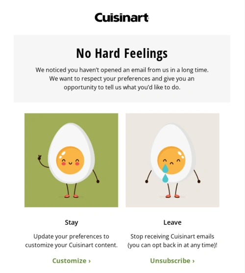 Cuisinart email example