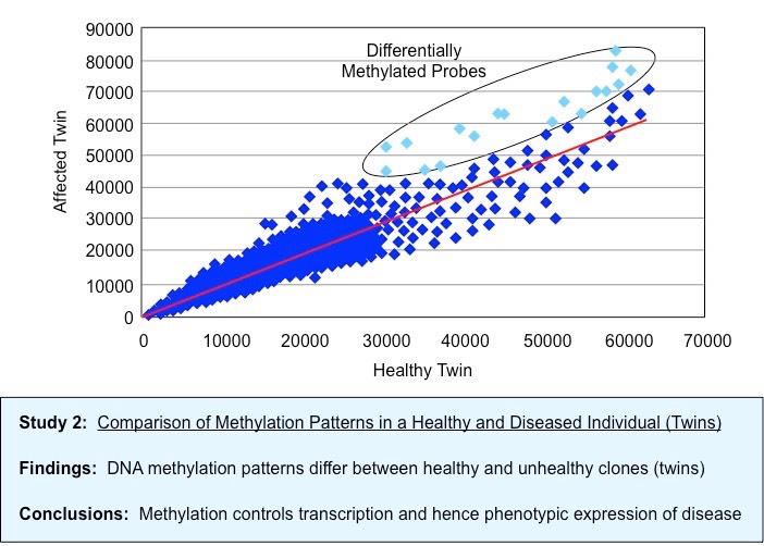 methylation expt 2