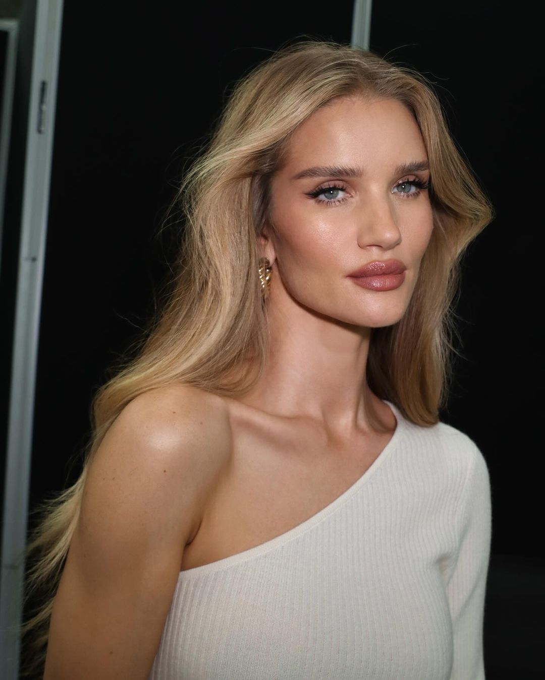 Productos Rosie Huntington