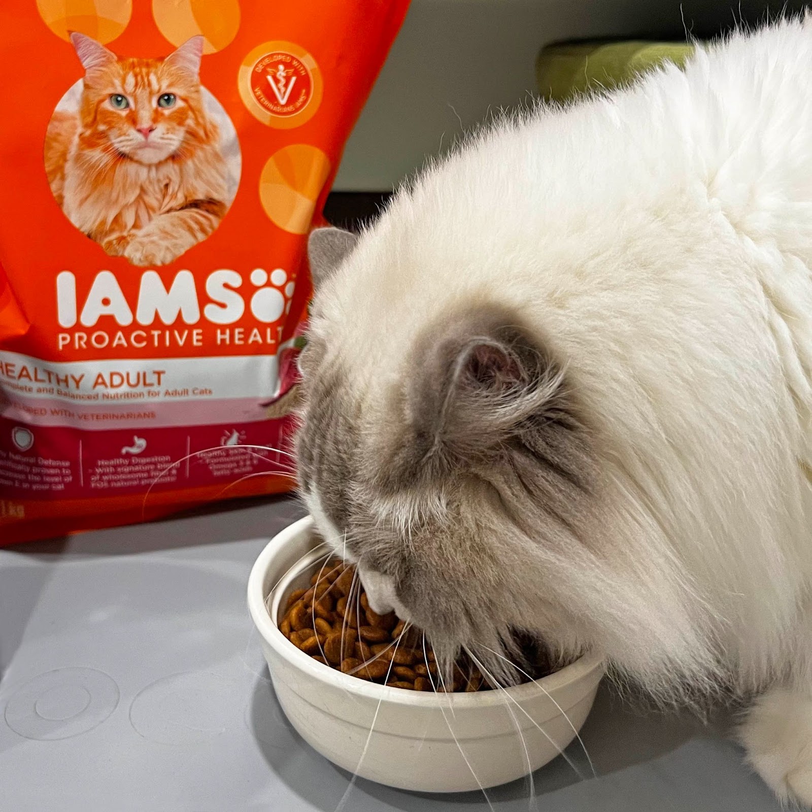 【專屬喵主子健康貓糧】IAMS™愛慕思™健康優活系列｜成貓營