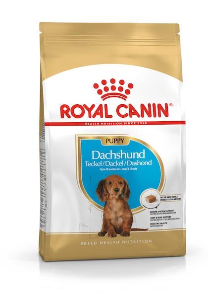 PU_DACHSHUND_PACKSHOT_BHN18