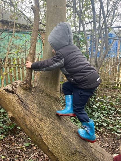 A child climbing a tree

Description automatically generated