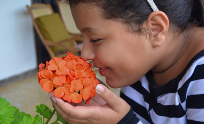 Menino comendo um pedaço de laranja

Descrição gerada automaticamente com confiança baixa