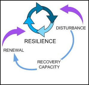 quest resilience cycle.jpg
