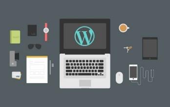 Custom WordPress development