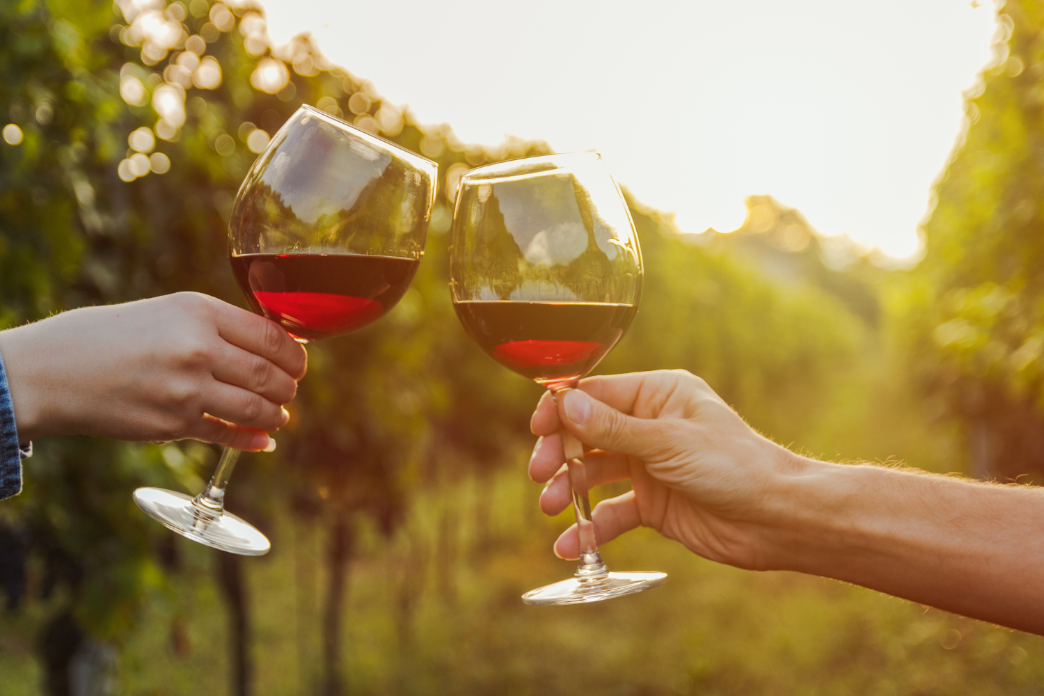 mal-and-joel-real-estate-yakima-buying-a-home-in-yakima-glasses-of-red-wine-in-a-vineyard-in-yakima