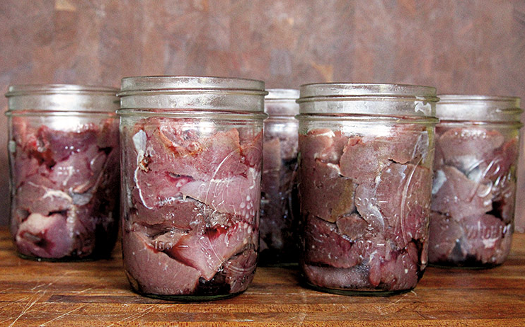 Canned venison deer meat in 5 glass jars.