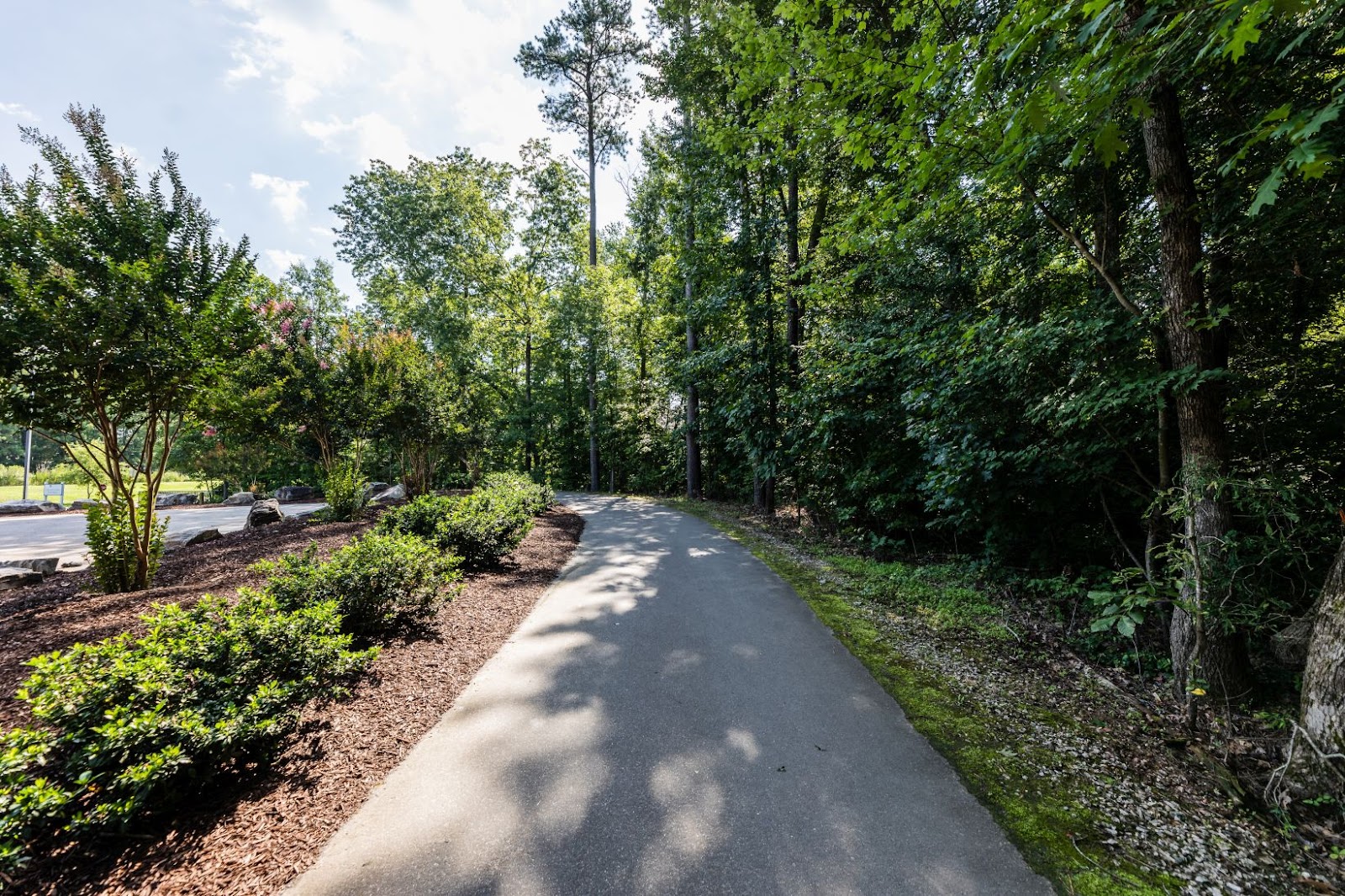 Hatcher Creek Greenway, paved blacktop greenway through the woods in Morrisville NC