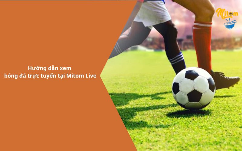 Đánh giá kênh xem bóng đá chất lượng đỉnh cao Mitom TV-3