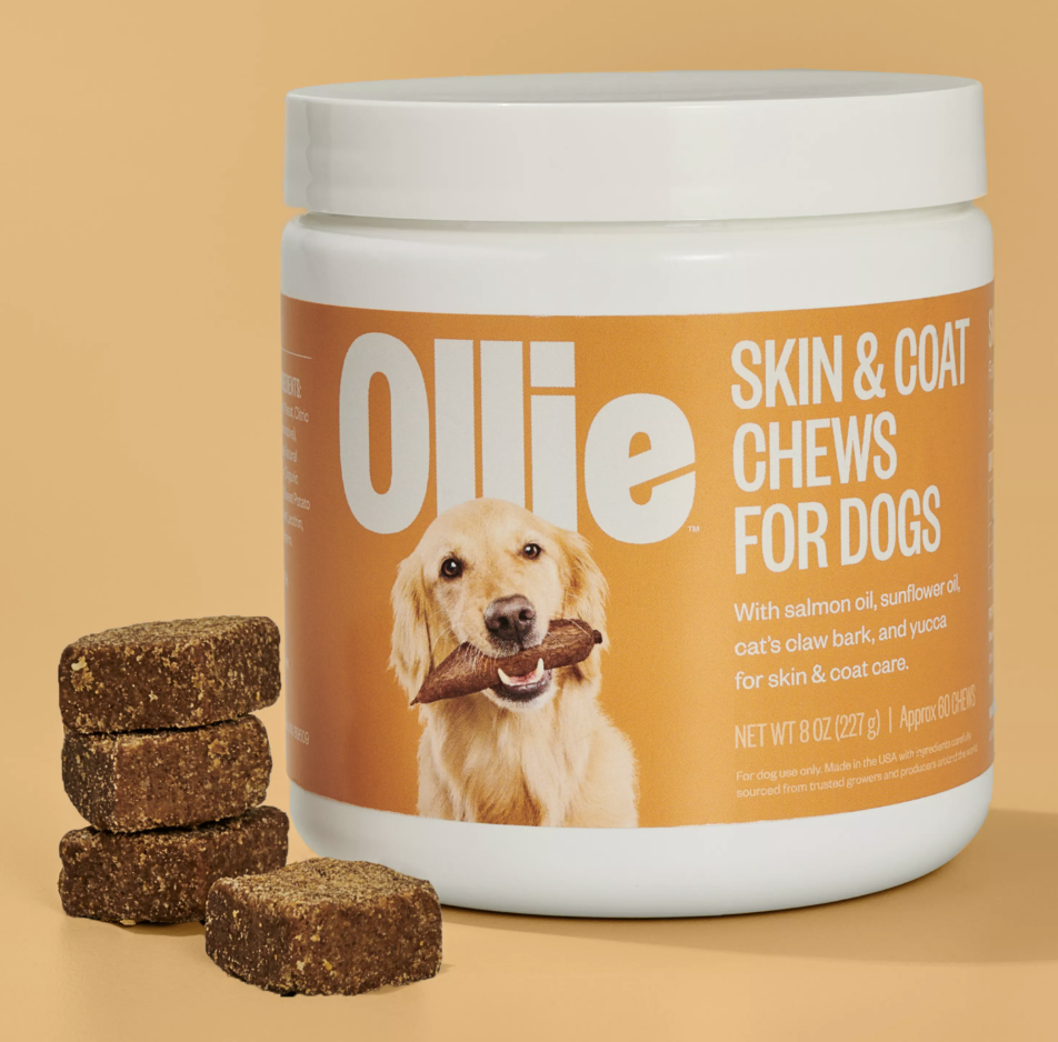 A picture of a container of Ollie's Skin & Coat supplement for dogs