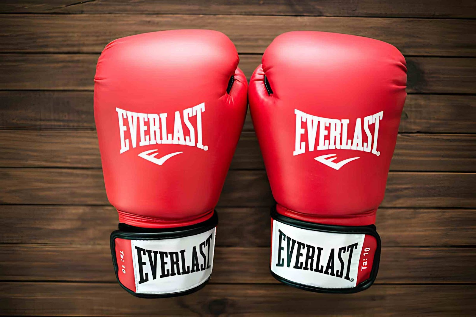 everlast pro boxing gloves