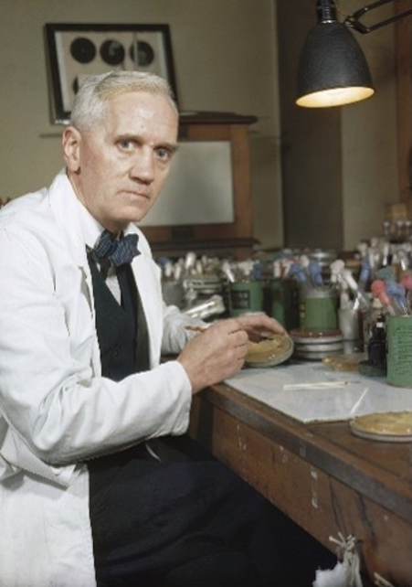 An image of Alexander Fleming at a lab work bench