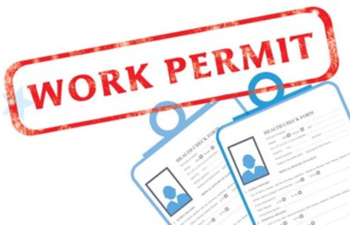 vietnam working visa - documents