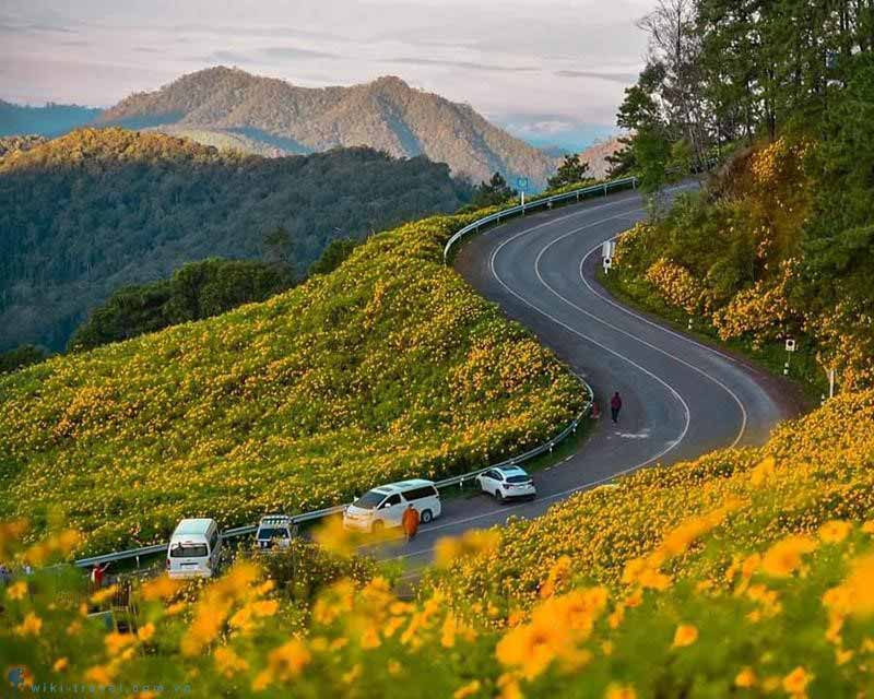 Đồi Mae U Ko tại mae hong son 