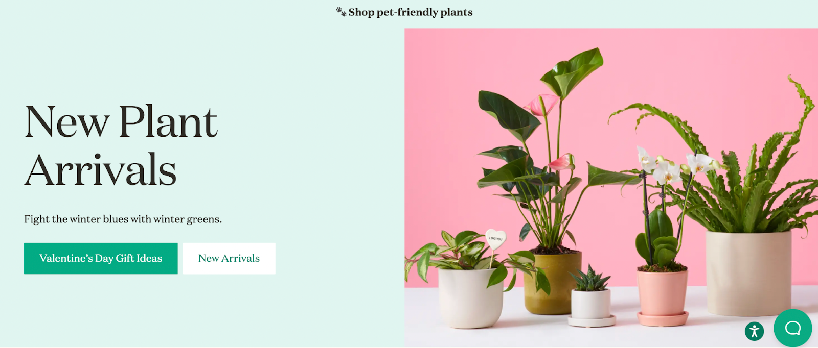 gift ideas for sales reps, desk plants from the Sill