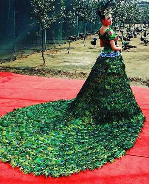 Vera Wang Peacock Wedding Gown – $1.5 million