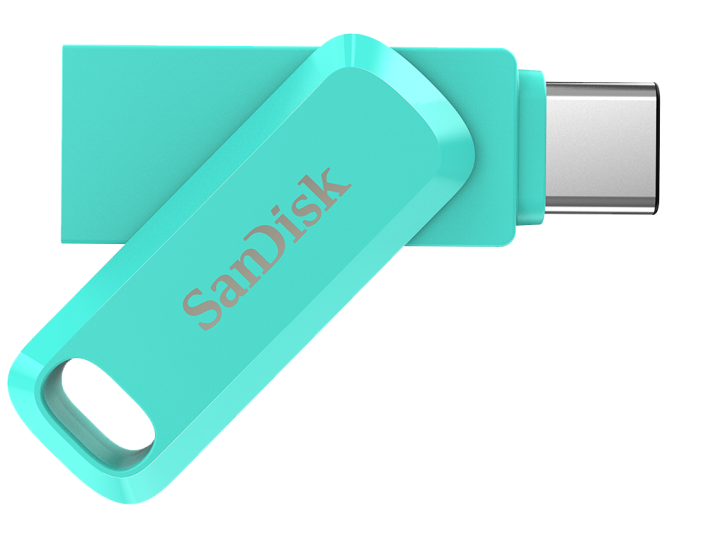 SanDisk Type C Dual Drive Go 32 GB Pen Drive