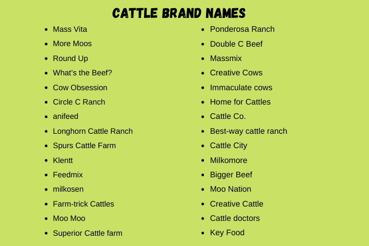 Cattle Brand Names