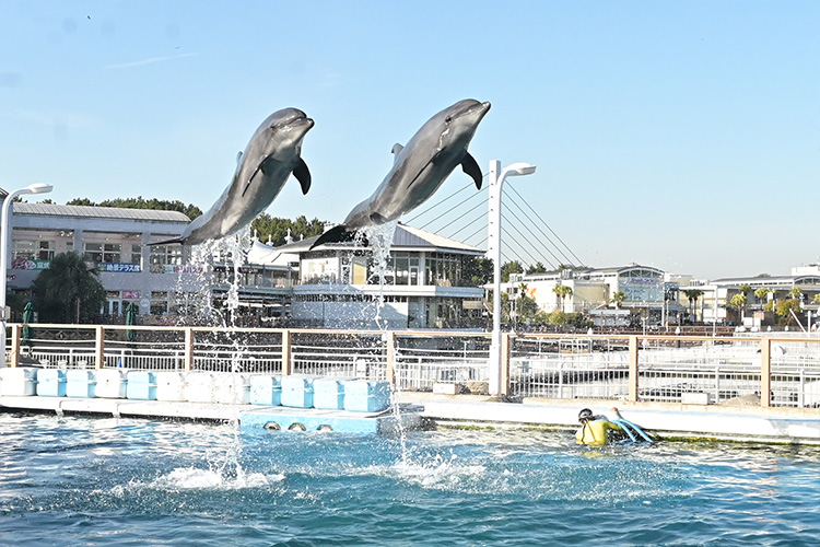 横浜・八景島シーパラダイスの写真