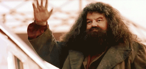 Hagrid waving goodbye to a young Harry Potter as he leaves on the Hogwarts Express. 