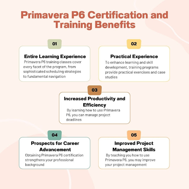 "Illustration depicting a person navigating a winding path, representing the journey from project management novice to Oracle Primavera P6 expert. #ProjectManagement #OraclePrimaveraP6"