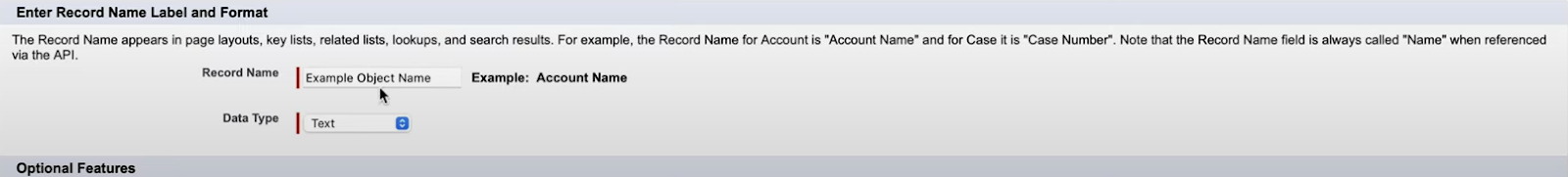 Fill record name